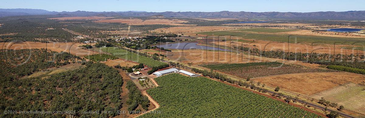 Peter Bellingham Photography Lakeland Farm - QLD (PBH4 00 14318)